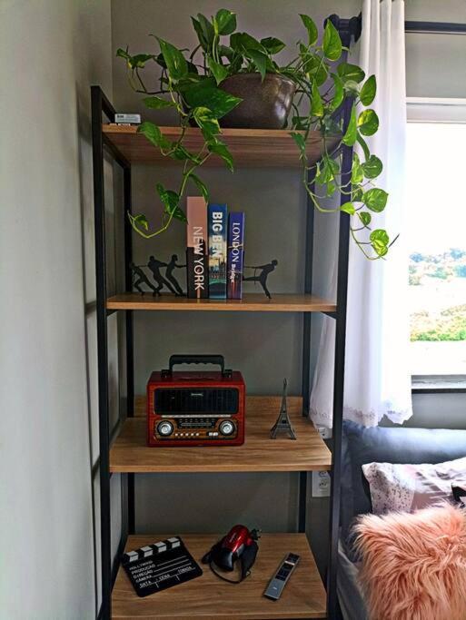 Tiny House Paraiso Minicasas Com Hidromassagem Pouso Alegre Eksteriør billede